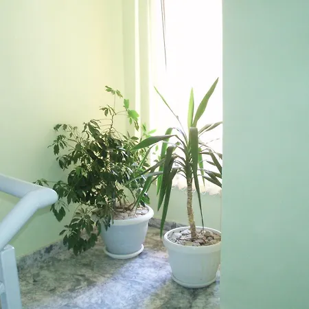 Vasima פרימורסקו